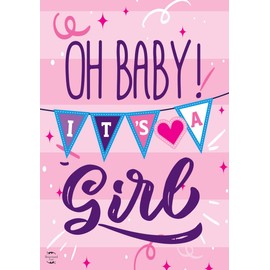 Baby Girl Double-Sided Garden Flag Shower Birth 12.5" x 18" Briarwood Lane