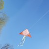 Cartoon Kite Durable Exquisite Triangle Colorful Kite Easy Fly Beginner