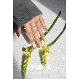 Osesshia Semi Cured Gel Nail Strips, 20 pcs Nail Wraps, Glaze Gel Nail Stickers, Salon Quality French Manicure, Full Decal Gel Polish Strips, Long Lasting SCG, Easy on, UV Required (Earth Tone)