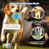 Fancy Pets Pelota Fetch Curvy Color Azul con Sonido para