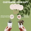 vdvelde.com - Giveaway Mini Cactus en Vetplant Mix with Potje