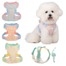Pechera Arnés para Perros pequeños, Arnés para Perro Ajustable Reflectante Transpirable, Cachorros y Gatitos con Correa 1.5m (Amarillo, S)