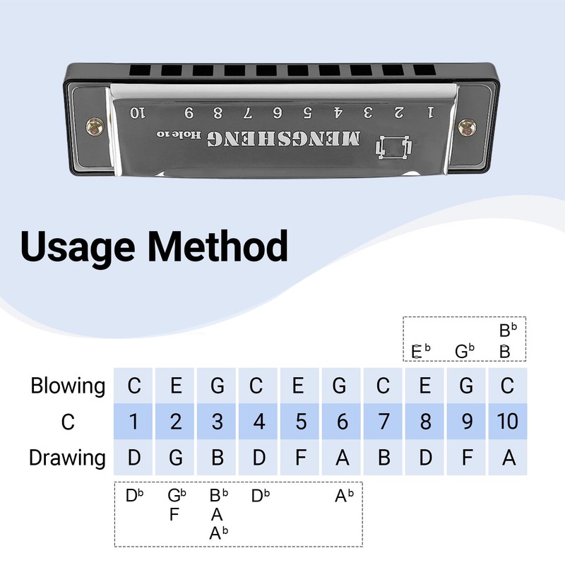 Harmonica C Key 10-Hole Diatonic Mouth Organ, Compact Harmonicas for