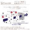 Iris Ohyama PK-G30M Inner Gauze Mask, Non-Woven Fabric, 30 Pieces,