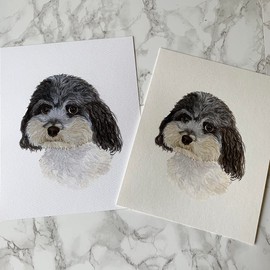 INKjetsclub High Yield Ink Cartridge Replacement for Brother LC203. Works with DCP-J132W DCP-J152W DCP-J172W DCP-J4110DW DCP-J552DW Printers. 5 Pack (2 Black, Cyan, Magenta, Yellow)