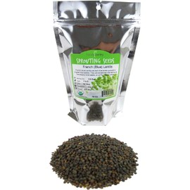 Organic French Lentil Sprouting Seeds - 1 Lb - French (Blue) Lentils - Perfect for Edible Seeds, Gardening, Hydroponics, Salad, Soup, Sprouts & Food Storage Product Name