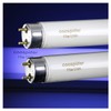 COOSPIDER 4 Pack 15W U/V BL CFL Compact Light Bulb