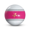 HATACHI Park Golf Hollow 3-Piece Ball Navigation Ball Hatachi Park