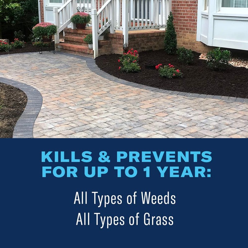 BioAdvanced 365 Weed Killer Spray & Grass Killer Ready-to-Use, 1.3