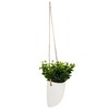 ATMOSPHERA CREATEUR D'INTERIEUR Hanging wall plant H20