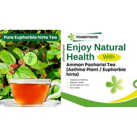 FounditGood Amman Pacharisi Tea (Asthma Plant/Euphorbia hirta) – Herbal Infusion for Respiratory, Skin Wellness and Digestive Support | 60 Dip Tea bags