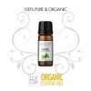 Lily & Loaf Basil Organic Essential Oil (Ocimum basilicum SSP