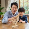 Artec 58430 Wooden Microscope Craft Kit, Crafts, Hobby, Crafts, Miscellaneous