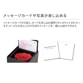 東京堂 プリザーブドフラワー ダイヤモンド-モダン85-エンボスブラック DD001216-030