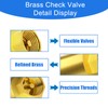 1 Inch Check Valve - PN25 Internal Thread Brass Backflow