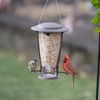 Squirrel Proof COP Feeder