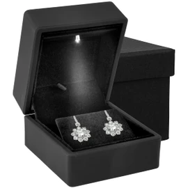 Noble Earring Box with LED Light - Unique Jewelry Display Gift Box with Velvet Interior (Black)
