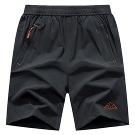 Gopune Men's Outdoor Moisture-Wicking Quick Dry Shorts, Sports, Running, Includes Zippered Pocket, gray