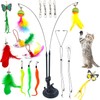 RETZLA 20PCS Feather Teaser Cat Toy Set with 1 Suction