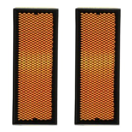 RIDEX PLUS 8A0169P Engine Air Filter Square || Air Filter Insert, Car Filter, Car Filter, Engine Air Filter, Filter for Air, Engine Air Motor Filter