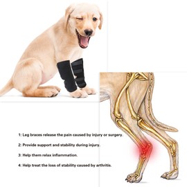 LUSIAINA Dog Front Leg Brace Canine Rear Hock Brace Dog Compression Wrap with Straps for Injury and Sprain Protection (S)