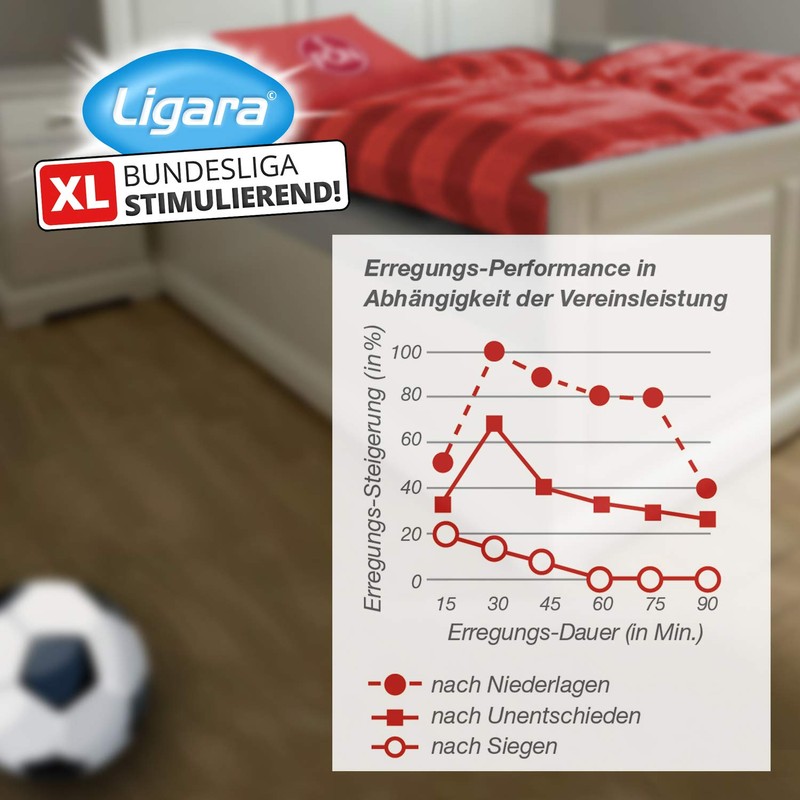 Ligara® for Nuremberg Fan Item Gift Birthday Fans (1x Single