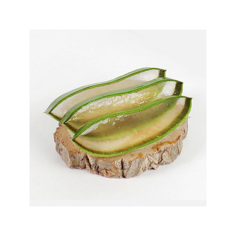 Kwon Do-young Aloe 유기농 생알로에 베라 1kg 식용 Organic Fresh