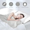 Silk-Pillow-Cases 2 Pack 25 Momme for Hair and Skin, 900