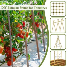 Plant Stakes 4.8FT, Natural Bamboo Stakes, HAINANSTRY 20Pcs Sturdy Bamboo Garden Stakes, Bamboo Sticks for Plants, Beans, Indoor and Outdoor Climbing Plants, Tomato Vegetable Stakes for Garden