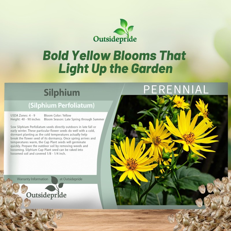 Outsidepride Silphium Cup Plant Flower Seeds - 400 Pcs Perennial,