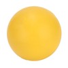 Dog Bouncing Ball Solid High Elasticity Toxic Free Floating Rubber