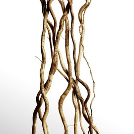 DAVIDOFF Cool Water Parfum Eau De Parfum For Women