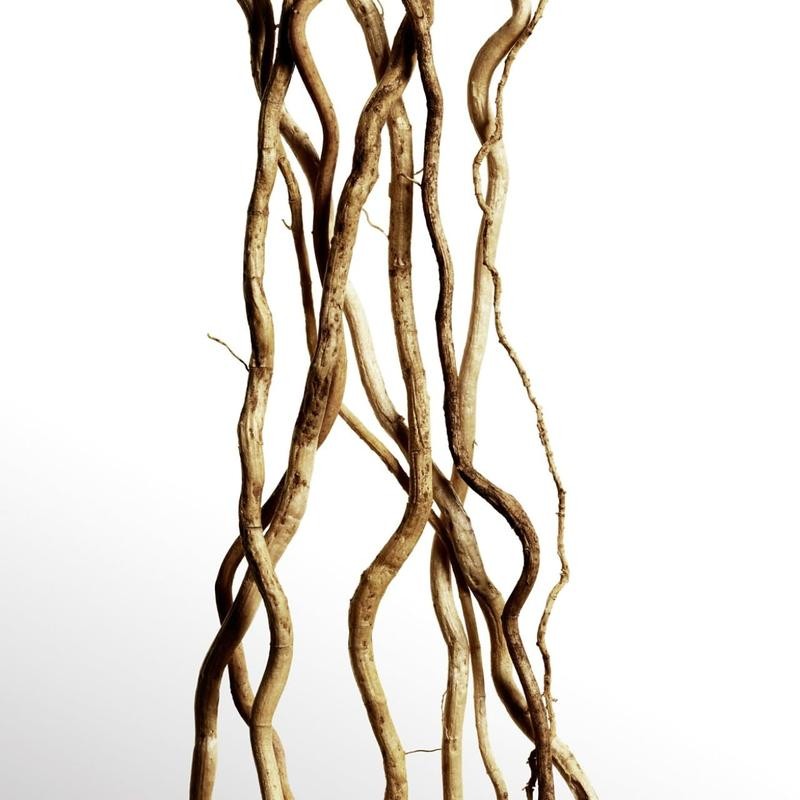 DAVIDOFF Cool Water Parfum Eau De Parfum For Women