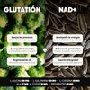 Glutatión 500mg NAD+ 200mg Cápsulas Veganas NAC y CoQ10 90