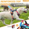 BEAUTYZOO No Pull Dog Harness for Large Dogs, Dog Harness