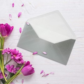 Envelopes DIN Long – Metallic Silver – Premium Quality – 110 g/m²; 220 x 110 mm – Very Stable – Nassklebung – Quality Brand: Neuser Colourful dl silver