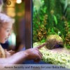 SunGrow Betta Fish Cave, Habitat Made from Coconut Shell, Soft-Textured