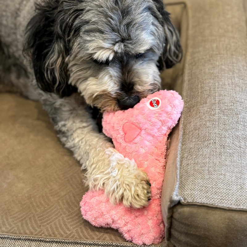 SPOT Soothers Warm Hug Bone - Calming Plush Dog Toy