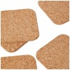 Apollo Cork Coasters Set Of 6 10cm, 1562