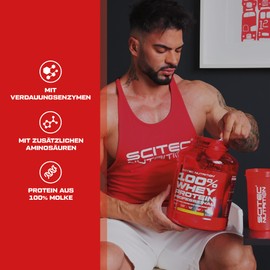 Scitec Nutrition 116149 Protein 100% Whey Protein Professional, Walnut, 500 g