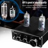 TUBE 03 Audio Amplifier Black with 6K4 Electronic Bile Duct