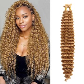 24 Inch Deep Wave Bulk Hair for Braiding Boho Hair for Braiding Deep Water Wave Braiding Hair No Weft Wet and Wavy Braiding Hair Extension (27#, 24 Inch(50g/Bundle x2))