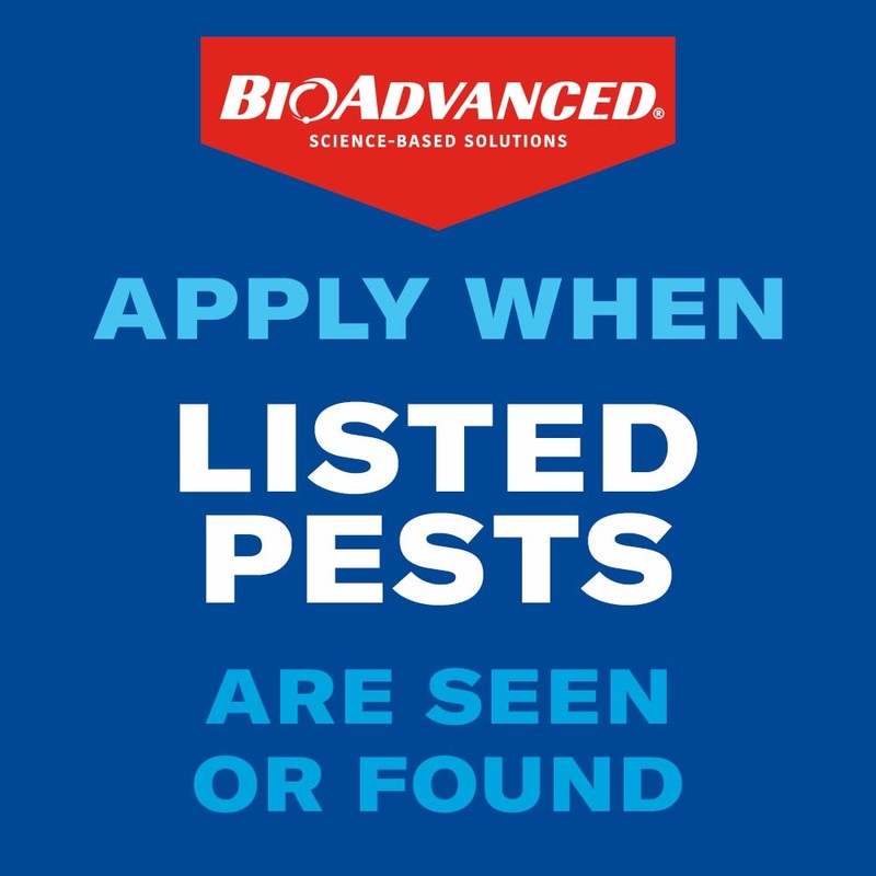 BioAdvanced Season Long Grub Control, Ready-to-Spread Granules for Insects, 10