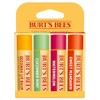 Burt's Bees Kit Freshly Picked Lip Balm 4 unidades