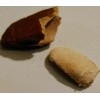 majcka4 Zopilopastle 1 oz cobano zopilopaztle semillas de zopilote OJO