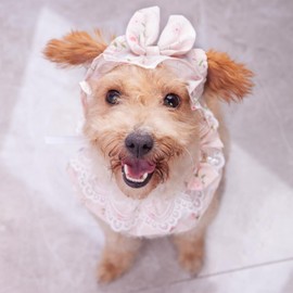 Zrteimith Pet Hats Cat Dog Cap Animal Bib Lace Bandana Scarf Set Lovely Princess Style Costume for Kitten Doggy Rabbit (Hats & lace Scarf, XS Scarf & Hat)