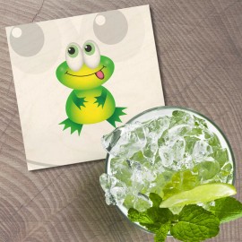 Unbranded Funny Frog Baby Toy Animal 4'' X 4'' Square Wooden Coaster