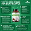 Zazzee Extra Strength Horse Chestnut 10:1 Extract, 20% Aescins, 120