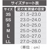 HOSHINO(ホシノ) B+ Insole(B Plus) All-Round Model for 1 Pair B+LDe