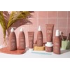 L'ANZA Healing Curls Butter Shampoo (8 Fl Oz)